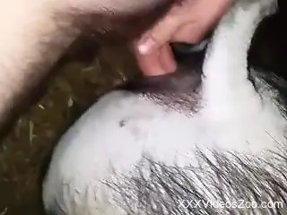 Dude railing a pig's hot pussy in a freaky porn vid