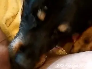 Horny dude wants his asshole to get tongued by a dog