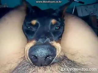 Dude happily lets a dog suffocate on his boner