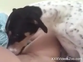 Hardcore fuckery with an overweight zoophile lady