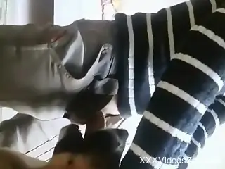 Dude in a striped shirt cums sexily on a dog's face