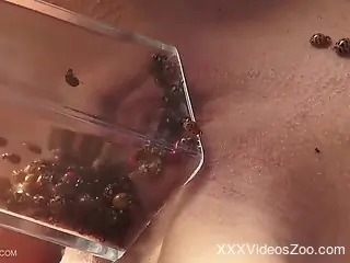 Bug fetishist enjoying the spotlight in a hot vid