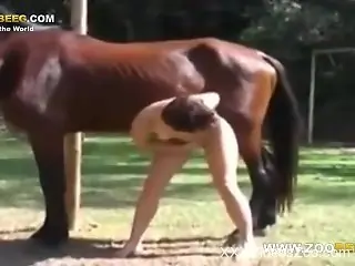 MILF throats giant horse dick and tries to fuck it