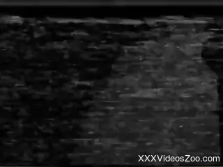 B&W porno movie with a small boobed MILF beauty