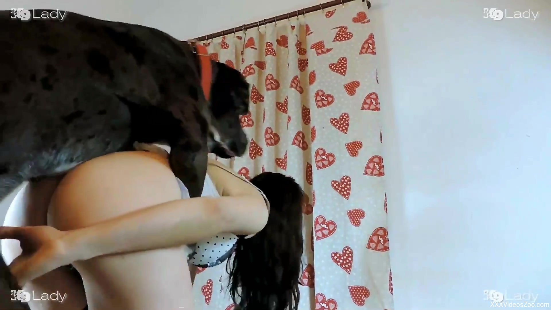 Xxxvideos zoo