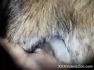 Dude pleasuring that animal's greedy hole for the cam