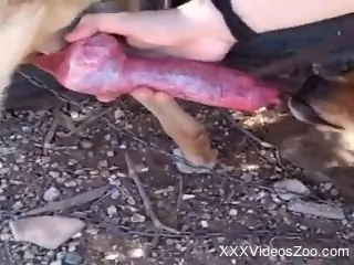 Horny woman sure wants the dog's big dick into her mouth