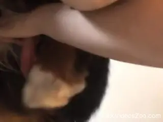 Sexy woman jerks off dog's cock until the animal comes
