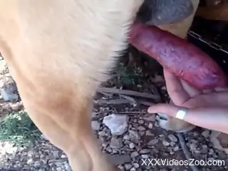 Dude cannot wait to give a nice handjob to kinky dog