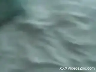 Really hot porn scene featuring a submissive dog