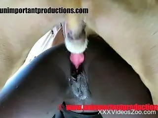 Sexy black lady banged brutally by a horny doggo