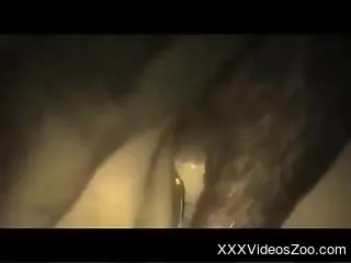 Poorly color corrected zoophilic masterpiece