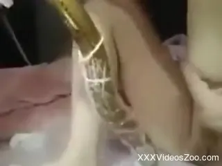 Solo female inserts a snake into her wet pussy