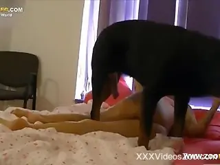 Tanned gal goes on all fours to let the dog fuck her up