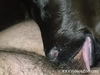 Sexy animal getting skulled fucked by a horny stud