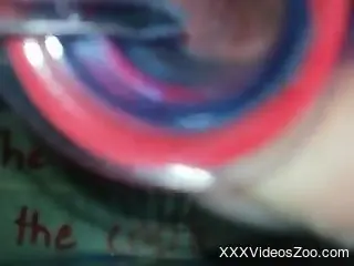Aroused male puts his dick to a test in a jar full of ants