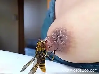 Sexy bee stinging the living shit outta that nipple