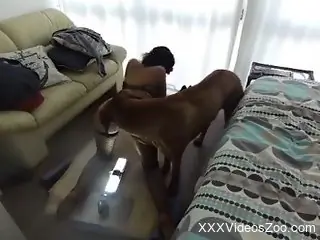 Fishnets-wearing zoophile diva gets drilled by a dog