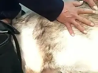 Dude is happy to fuck pigs from behind because he can