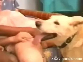 Hot women sucking fat cocks and orgasming as well