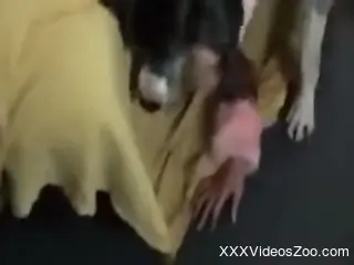 Hot brunette zoophile craves hardcore oral action