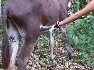 Masked lady taking care of the animal's hard cock