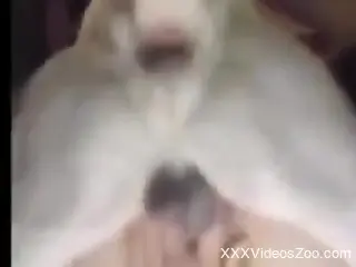 Ruff fucking scene with a lady that gets ruined