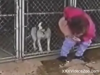 Messy fucking with the hottest animals in vintage porn