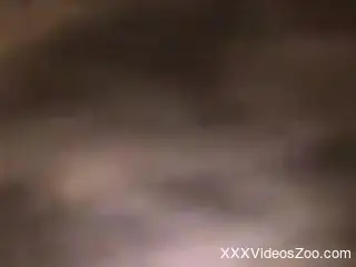 Black lingerie babe getting pounded by a sexy beast