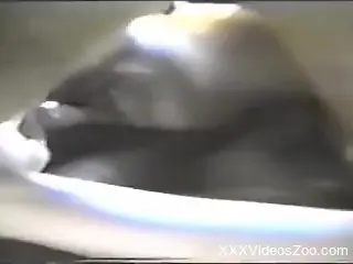 Retro blowjob from a zoophilic whore that wants cocks