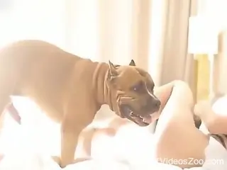 Sensual female reaches intense orgasms from zoophilia