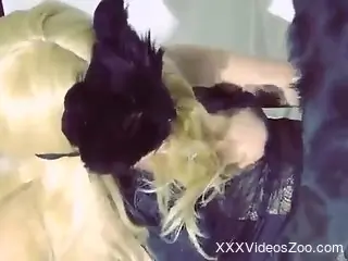 Blonde in black lingerie begging for a boner in her puss