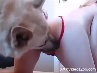 Skinny babe is going to let this animal eat her ass
