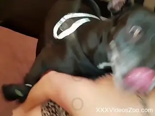 Latin lady shows her sexy outfit before fucking dog