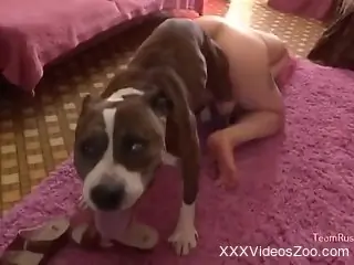 Sexy woman gets her morning dose of dog dick in sexy scenes
