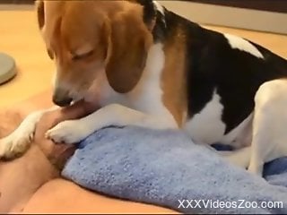 Nothing better than a dog that can suck cock