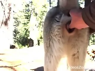 His hot pet is ready to let him fuck that twat