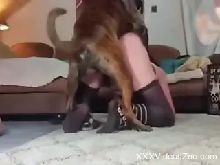 Nasty slut is going to get licked thoroughly