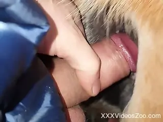 Guy's clean shaved cock fucking a horny creature