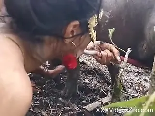 Women with hot bodies share a dirty boar boner