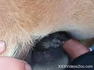 Dude uses his boner to fuck this beast up for real