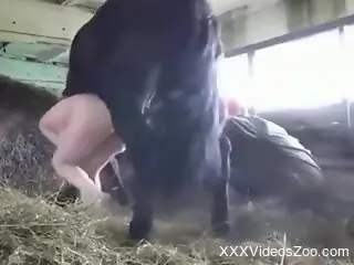 Horse lover is going to make love to a horny horse
