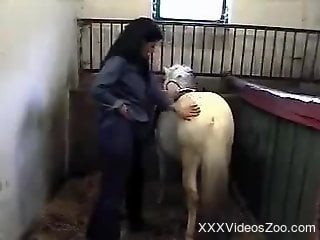 Hot chick is here to tease white horse's boner