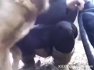 Lady with a pretty pussy lets the dog eat her out