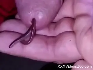 Horny man loves the wet stimulation this worm grants him with