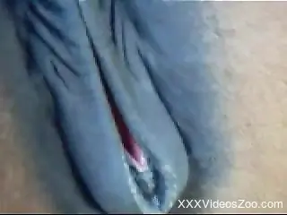 Aroused man craves that horse pussy for a little fun