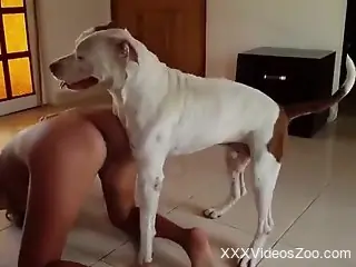 Hot bitch with big boobs gets fucked by a doggo