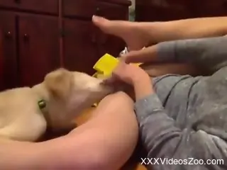 Uncontrollable cunnilingus scene with a sexy dog