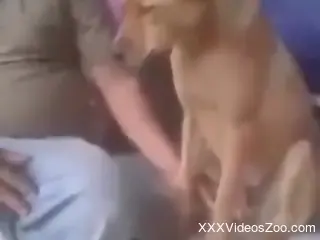 Hot dude casually jerking the dog's boner here