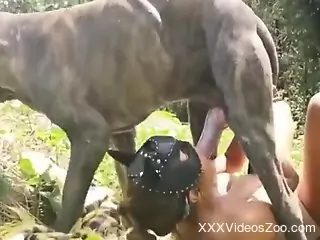 Attractive lady with fake tits wants dog dick